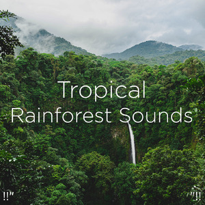 수면을위한 바다의 소리