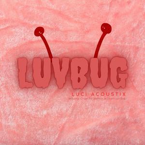 LuvBug