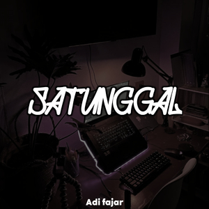 Dj Satunggal