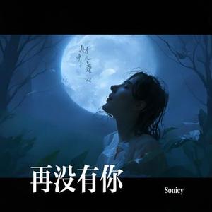 再没有你