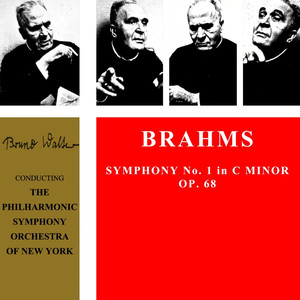 Symphony No. 1 In C Minor, Op. 68: II. Andante sostenuto