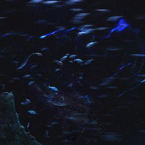 seni kaybım benim sonum olmaz