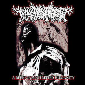 Suppuration Of A Swollen Scrotum