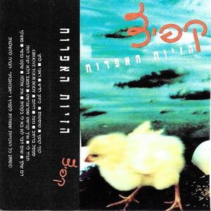 קפיץ - טוסטוס