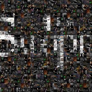 Happy Crocodile (Radio Edit)