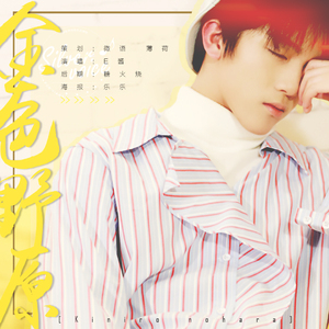 【孙亦航概念曲】《金色野原 Kiniro nohara》（翻自 手岛葵）