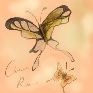 蝶·Butterfly