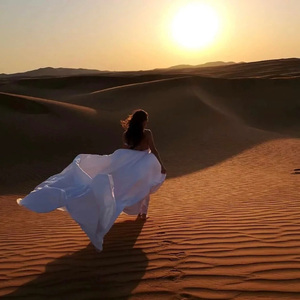 烟花升停在星夜