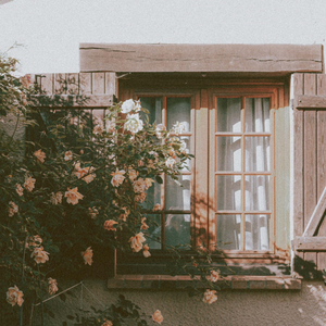 Hey Don’t Be Surprised If One Day I Just