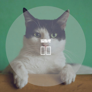 陪你度过漫长岁月