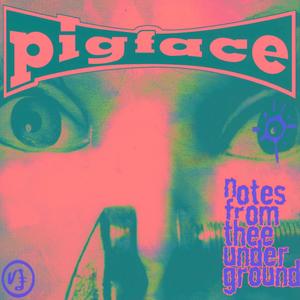 Hagseed "Slagseed Slagadelic Mix" By Psychic TV