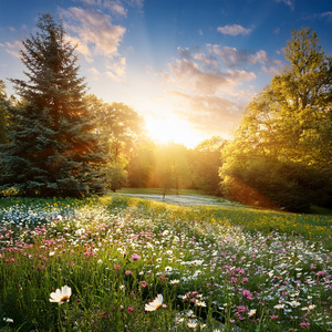 Drifting Into Quiet Moments