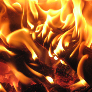 无声呐喊（logic beats 1）