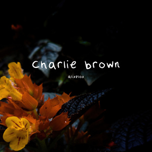 Charlie Brown