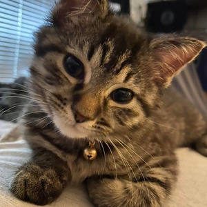 Hot Like Fire (slowed)