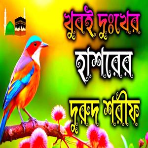 খুবই দুঃখের হাশরের দুরুদ শরীফ __ নতুন ভাইরাল দুরুদ শরীফ __ পৃথিবীর সেরা দুরুদ শরীফ