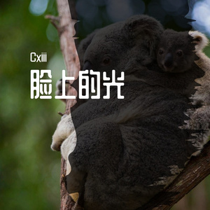 脸上的光