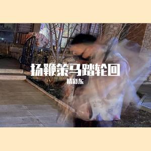 扬鞭策马踏轮回