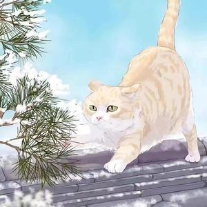 理想生活-杨杨同学