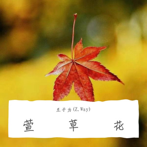 萱草花(男版)
