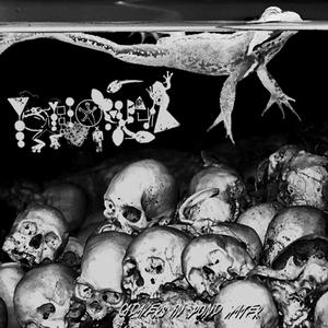 Insouciant Rhacophorus Tree Grappling