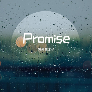 Promise