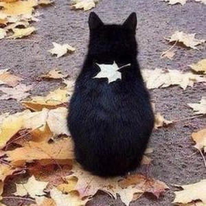 It's Your Night (slowed)