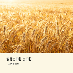 农民大丰收 大丰收