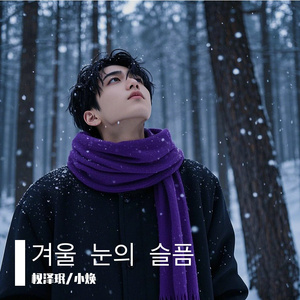 겨울 눈의 슬픔