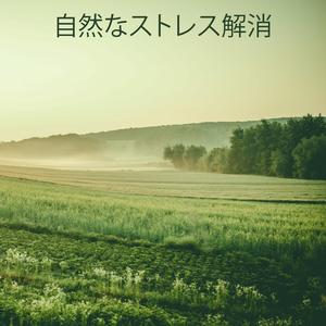 マインドフルネス療法