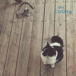 Untata