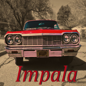 Impala