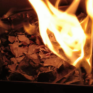 蝶恋花·伫倚危楼风细细