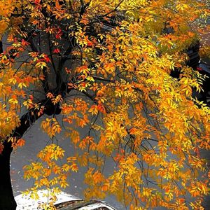 积木堆砌的快乐