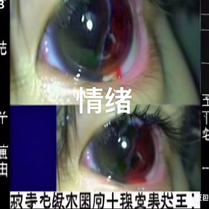 愛上詛咒（prod.DJ小肆）