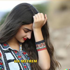 Nedmale Kürtçe Halay Şarkı