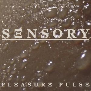 PLΞΛSURΞ PULSΞ