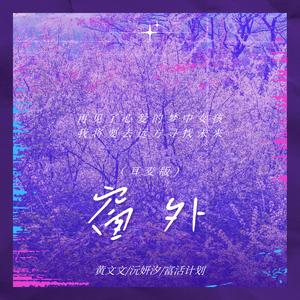 窗外 (再见了心爱的梦中女孩)