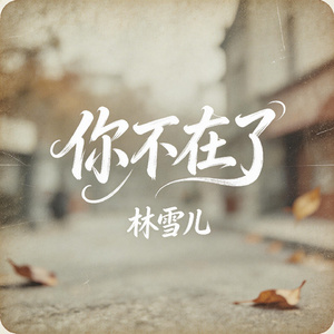 你不在了