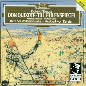 Don Quixote Op.35:11. Variation 8