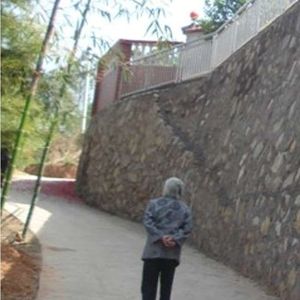 南阳街上的外婆