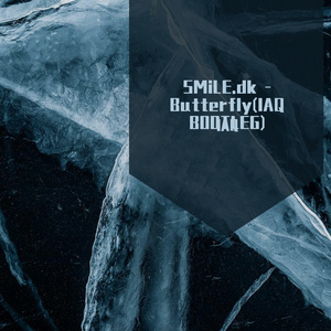 SMiLE.dk - Butterfly(IAQ BOOTLEG)