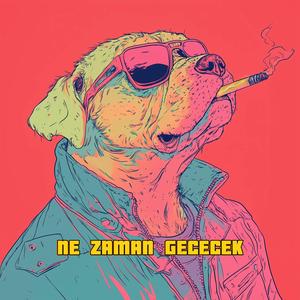 NE ZAMAN GECECEK