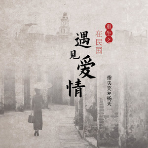 重生之在民国遇见爱情