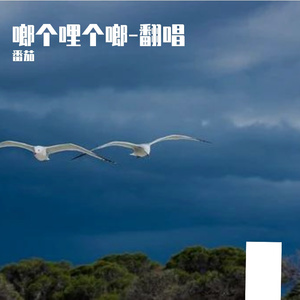 啷个哩个啷（翻自：鹏泊）