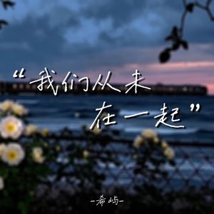 我们从未在一起