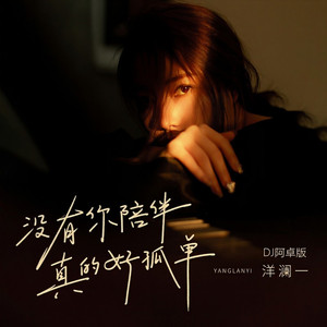 没有你陪伴真的好孤单 (DJ阿卓版)
