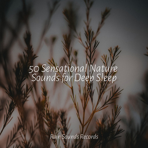 Song of the Gentle Meadow