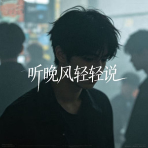 听晚风轻轻说(风说)
