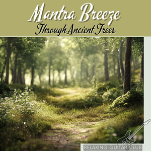 Follow the Path Your Shadow Fears